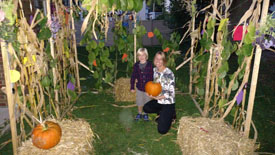Sukkot at Temple Beth El, 9-29-15
