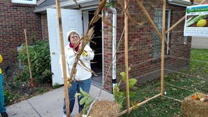 Sukkot & Ecology and Faith