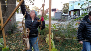 Sukkot & Ecology and Faith